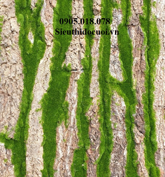 Tấm giả gỗ Tấm giả gỗ