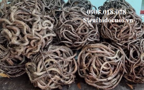 Cuộn dây rừng trang trí cuộn dây rừng trang trí