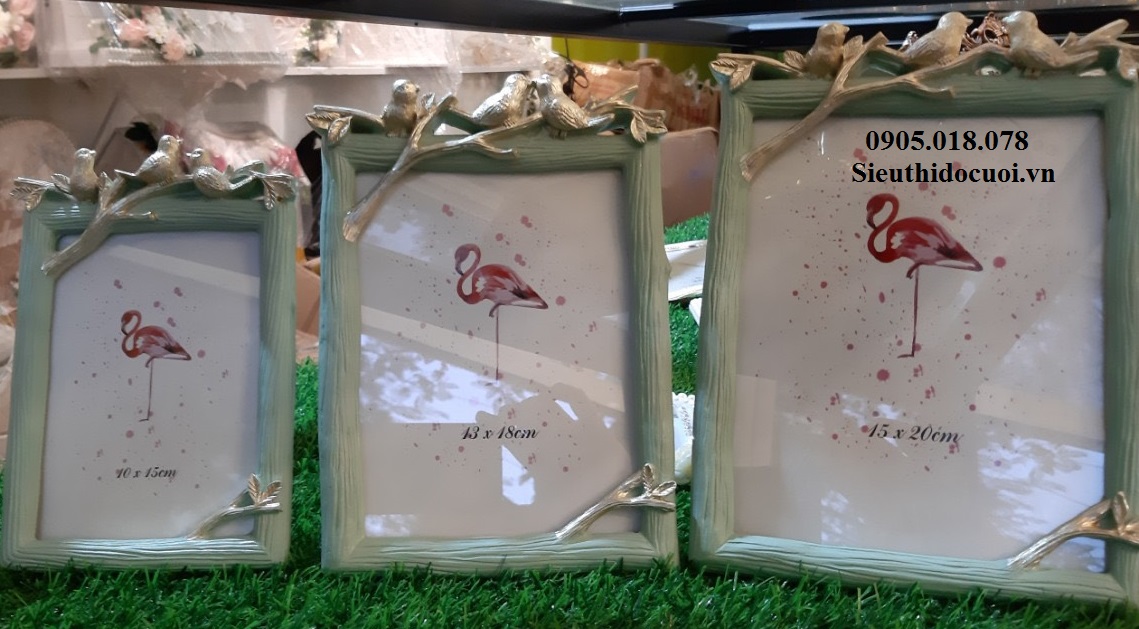 Khung hình, khung ảnh Khung hình, khung ảnh