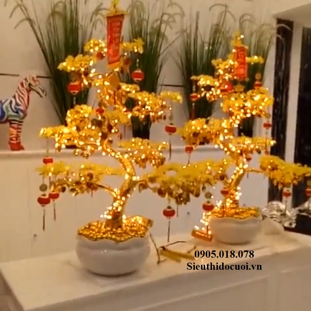 Cây Mai Pha Lê Cây Mai Pha Lê