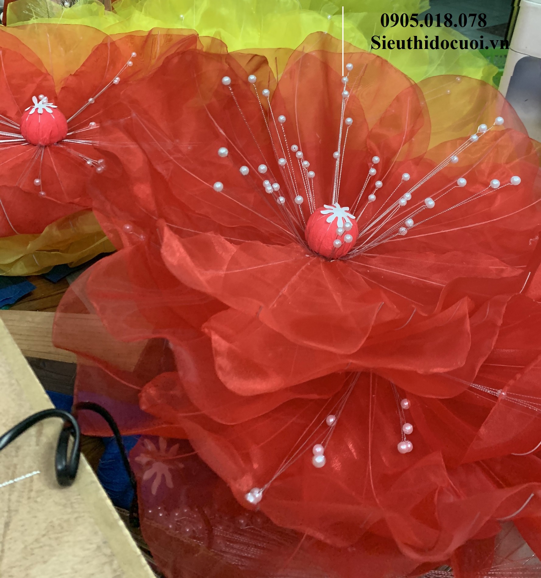 Hoa Múa, Hoa Dùng Để Múa Hoa Múa, Hoa Dùng Để Múa