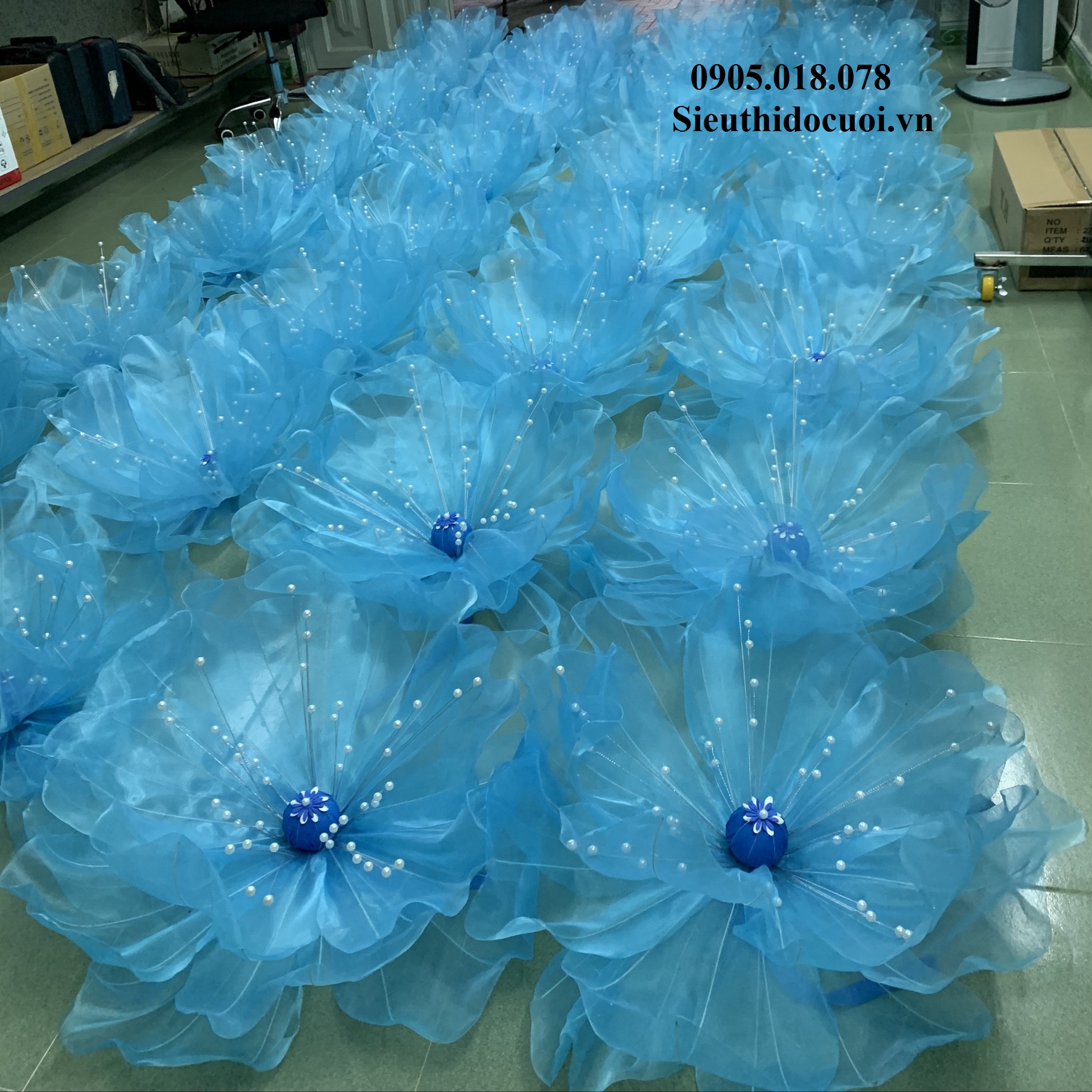 Hoa Múa, Hoa Dùng Để Múa Hoa Múa, Hoa Dùng Để Múa