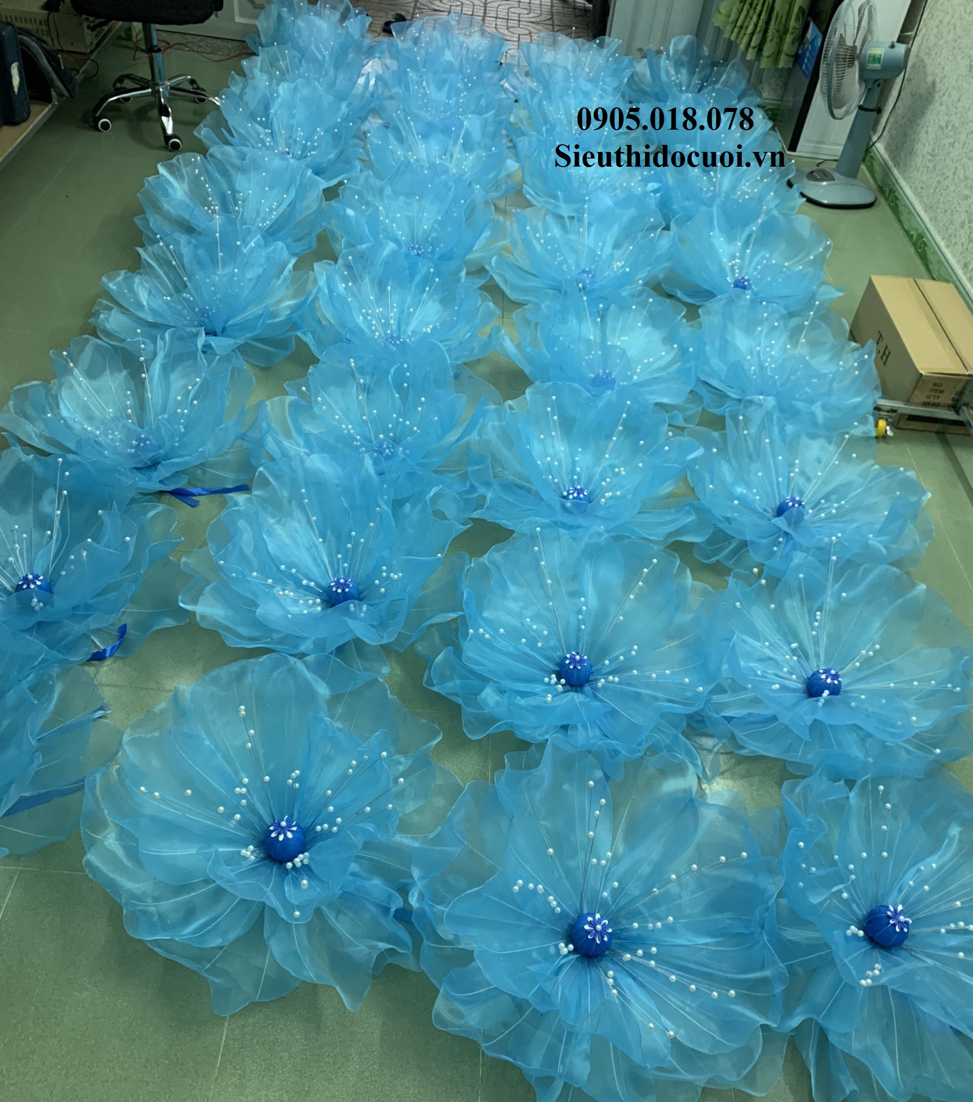 Hoa Múa, Hoa Dùng Để Múa Hoa Múa, Hoa Dùng Để Múa