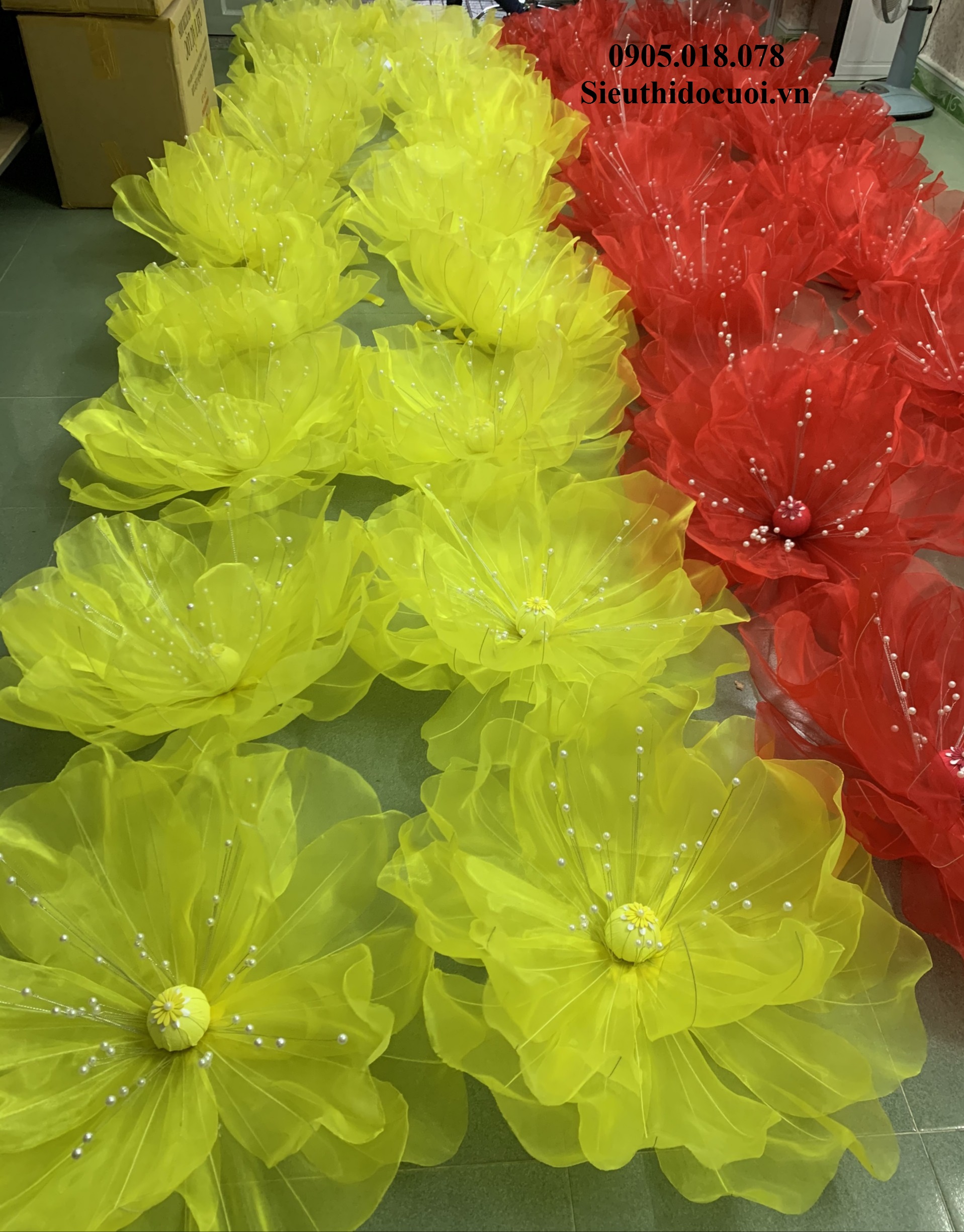 Hoa Múa, Hoa Dùng Để Múa Hoa Múa, Hoa Dùng Để Múa