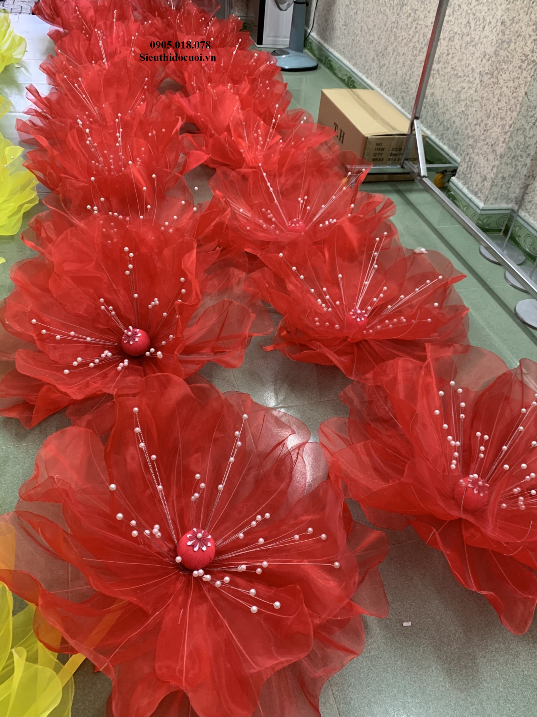 Hoa Múa, Hoa Dùng Để Múa Hoa Múa, Hoa Dùng Để Múa