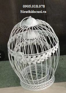 Lồng chim Lồng chim