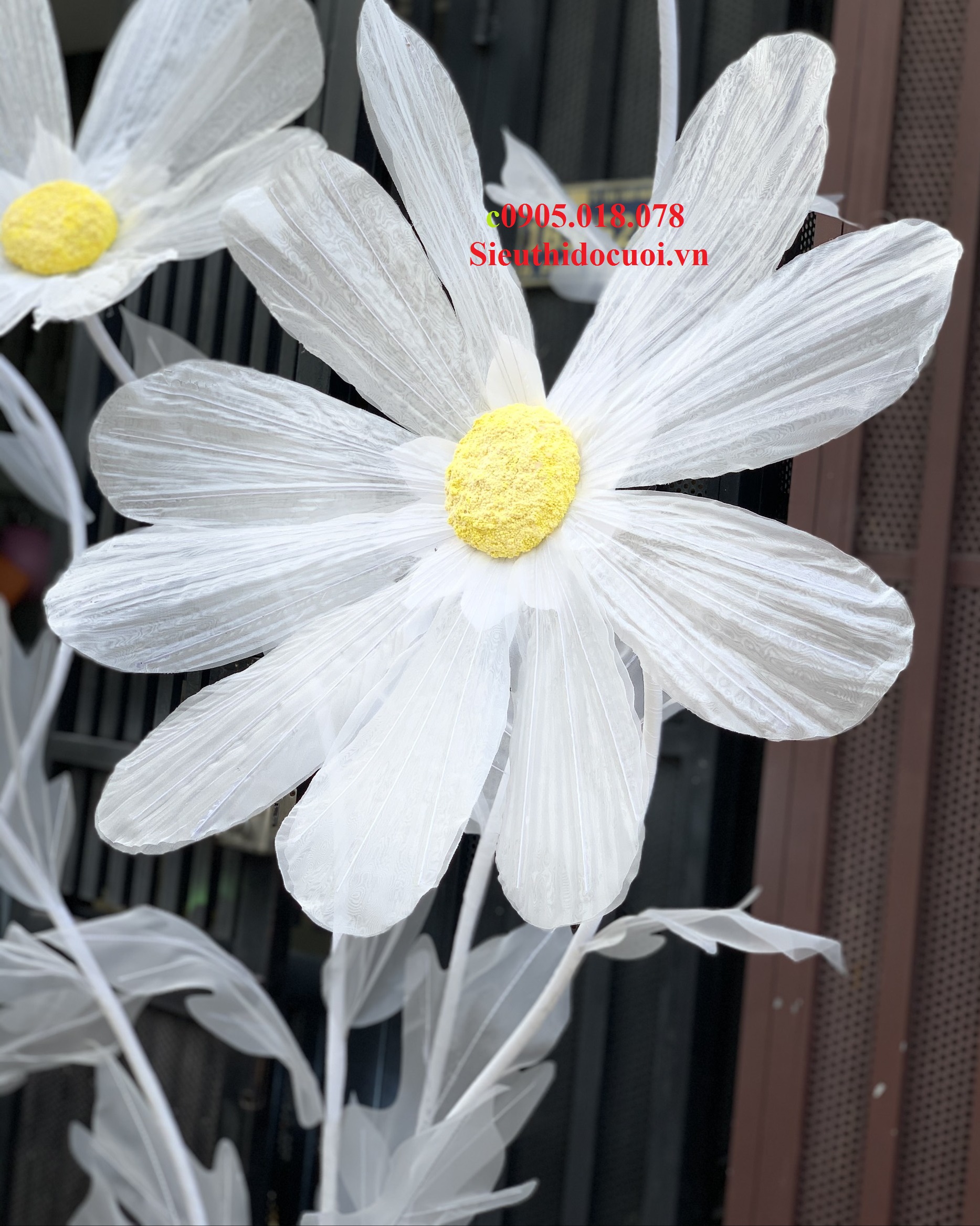 Hoa trang trí sân khấu, lối đi sân khấu Hoa trang trí sân khấu, lối đi sân khấu