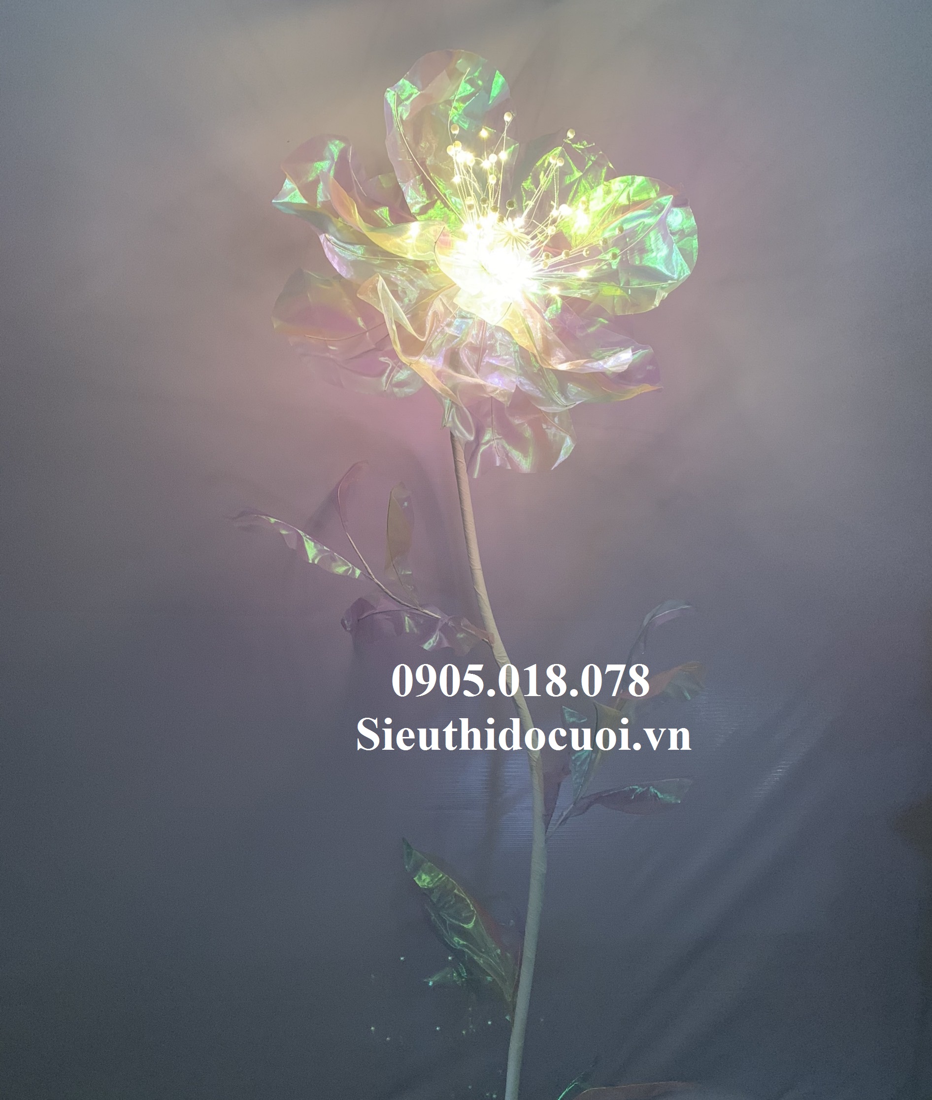 Hoa trang trí sân khấu, lối đi sân khấu Hoa trang trí sân khấu, lối đi sân khấu