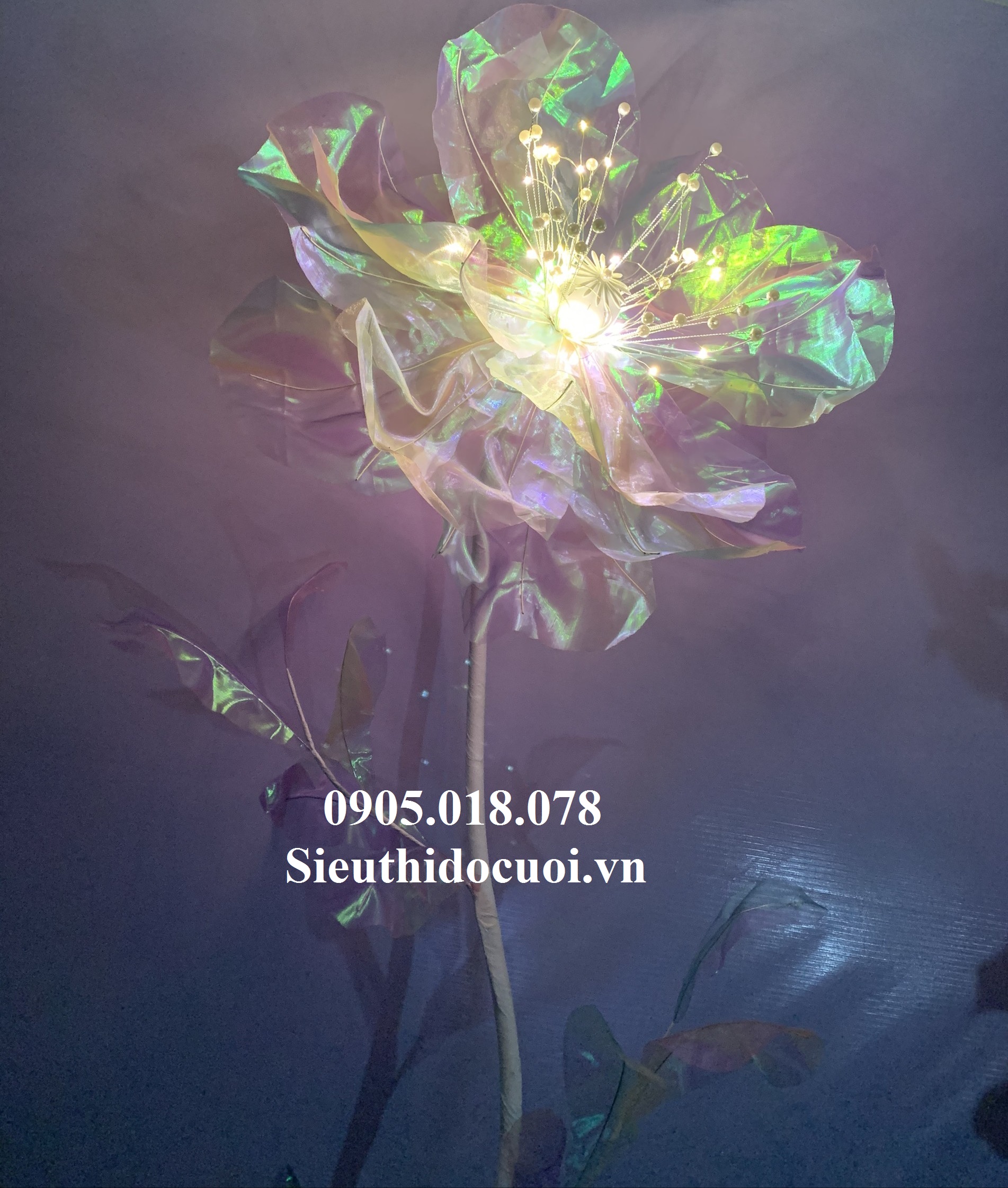 Hoa trang trí sân khấu, lối đi sân khấu Hoa trang trí sân khấu, lối đi sân khấu