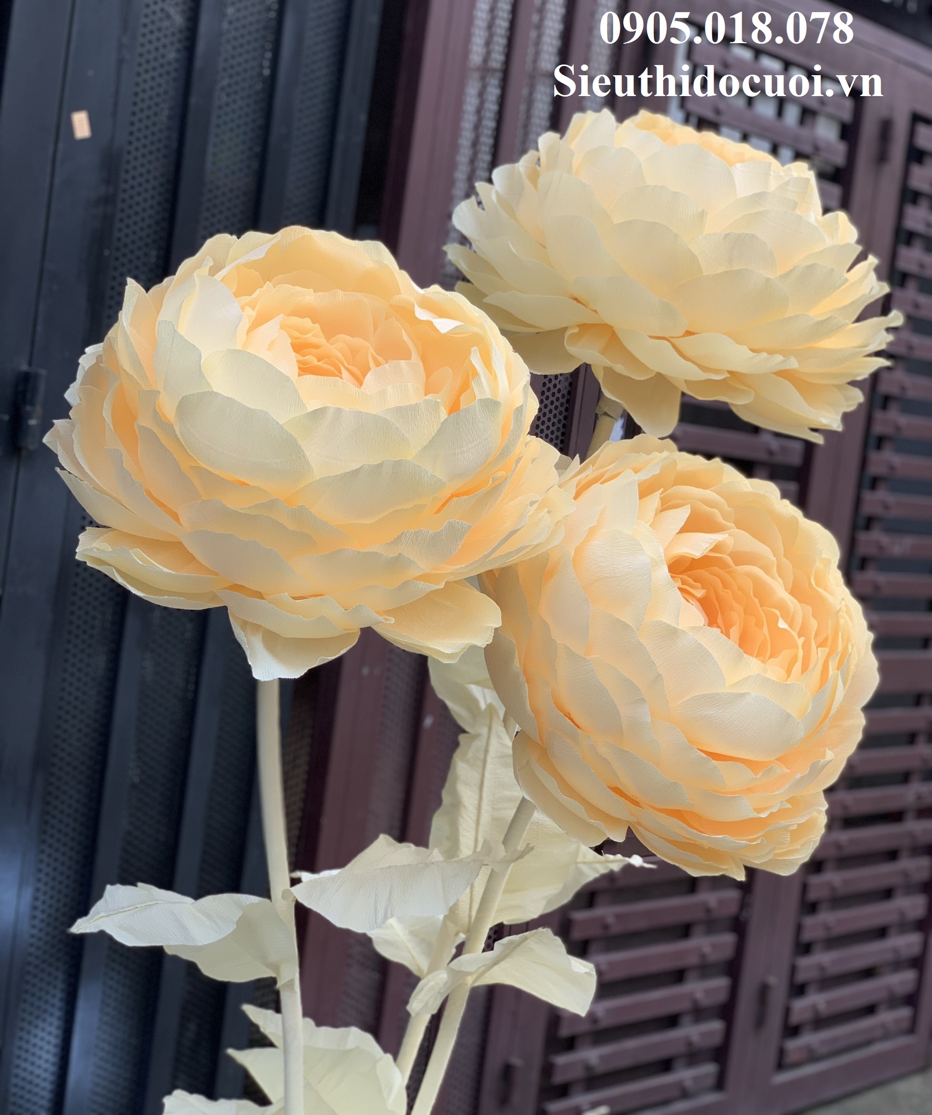 Hoa trang trí sân khấu, lối đi sân khấu Hoa trang trí sân khấu, lối đi sân khấu