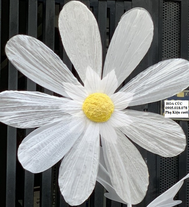 Hoa trang trí sân khấu, lối đi sân khấu Hoa trang trí sân khấu, lối đi sân khấu