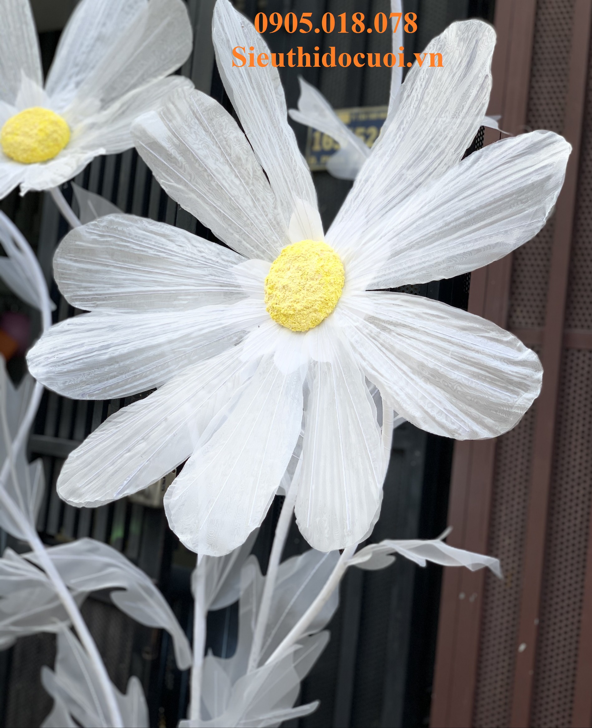 Hoa trang trí sân khấu, lối đi sân khấu Hoa trang trí sân khấu, lối đi sân khấu