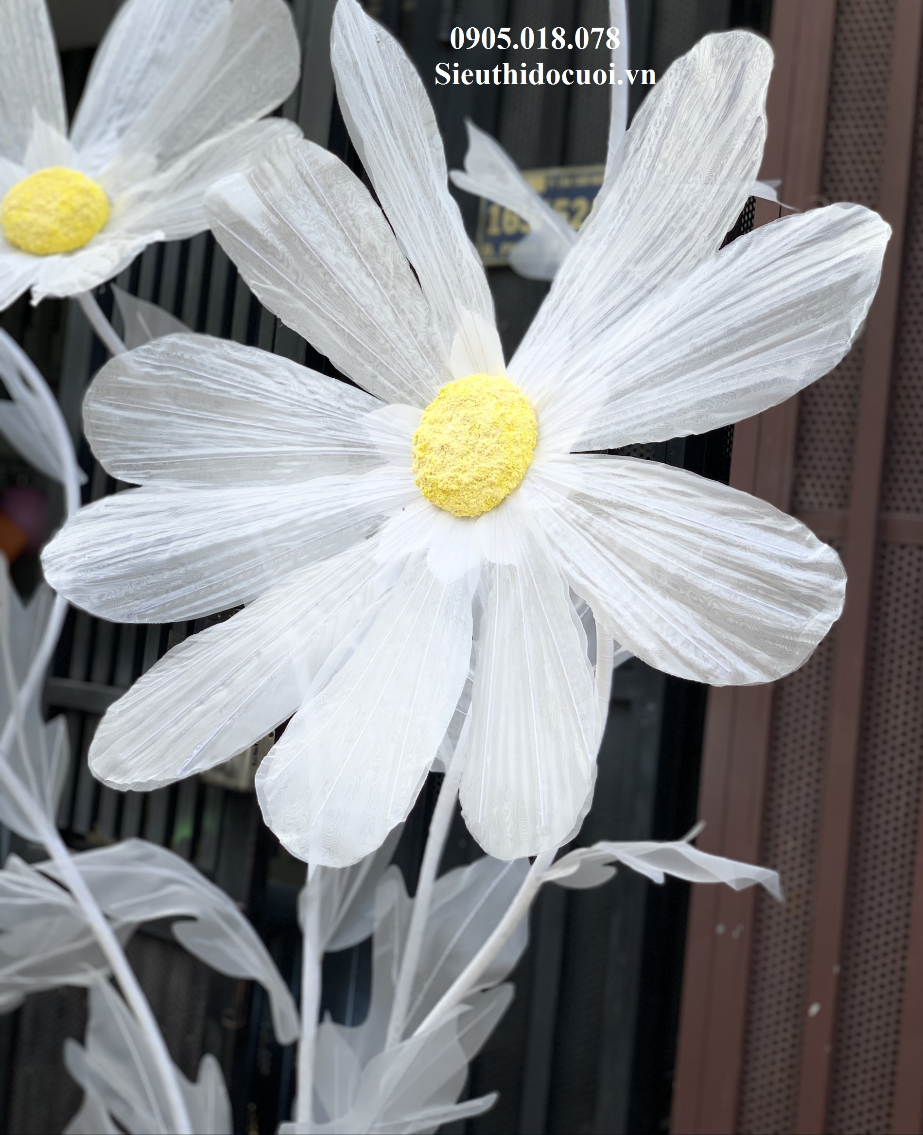 Hoa trang trí sân khấu, lối đi sân khấu Hoa trang trí sân khấu, lối đi sân khấu