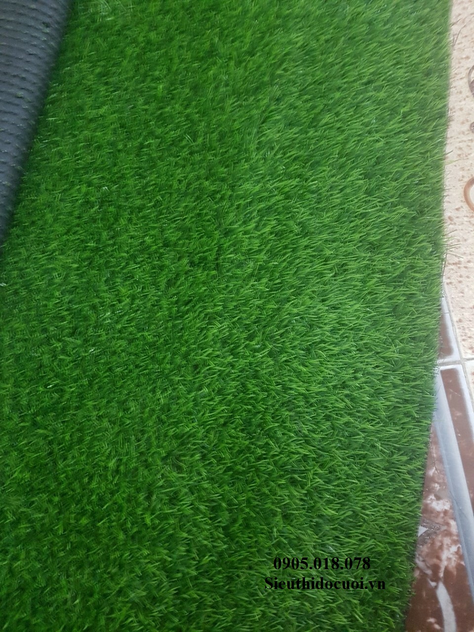 Thảm cỏ nhân tạo Thảm cỏ nhân tạo