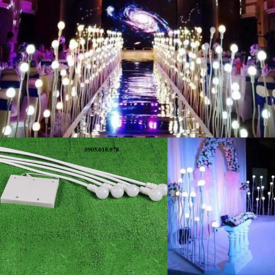 Sóng đèn hoa mộc lan Sóng đèn hoa mộc lan