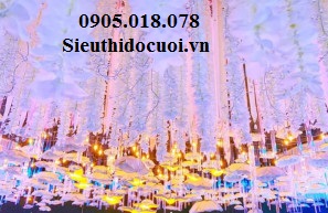 Bộ đèn thả chim én Bộ đèn thả chim én