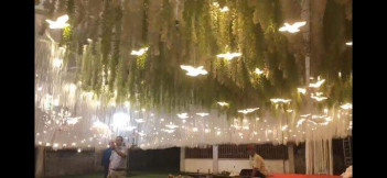 Bộ đèn thả chim én Bộ đèn thả chim én