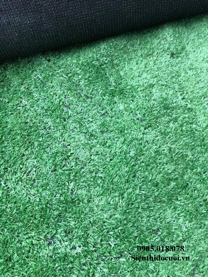 Thảm cỏ nhân tạo Thảm cỏ nhân tạo