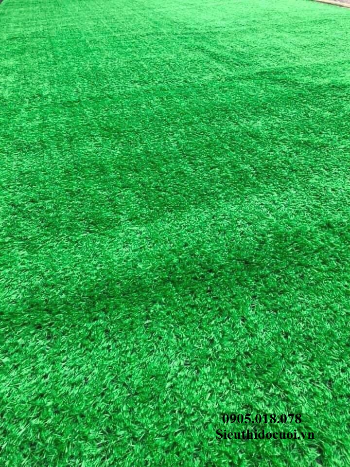 Thảm cỏ nhân tạo Thảm cỏ nhân tạo