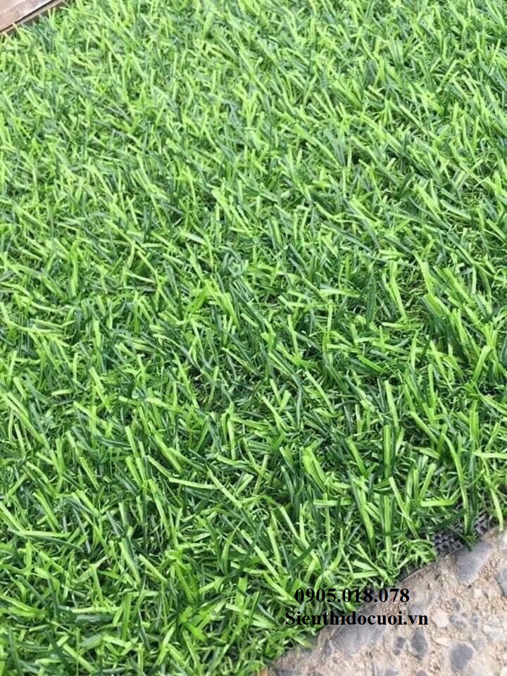 Thảm cỏ nhân tạo Thảm cỏ nhân tạo