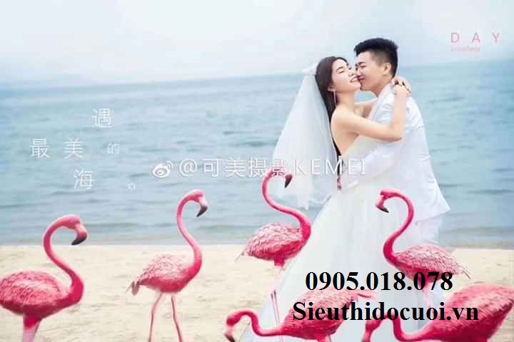 Hồng Hạc Hồng Hạc