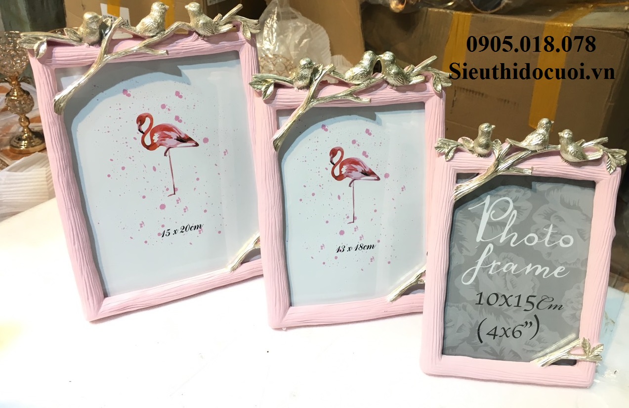 Khung hình, khung ảnh Khung hình, khung ảnh