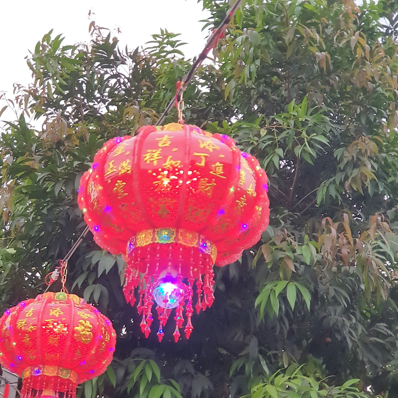 Lồng đèn trang trí Lồng đèn trang trí