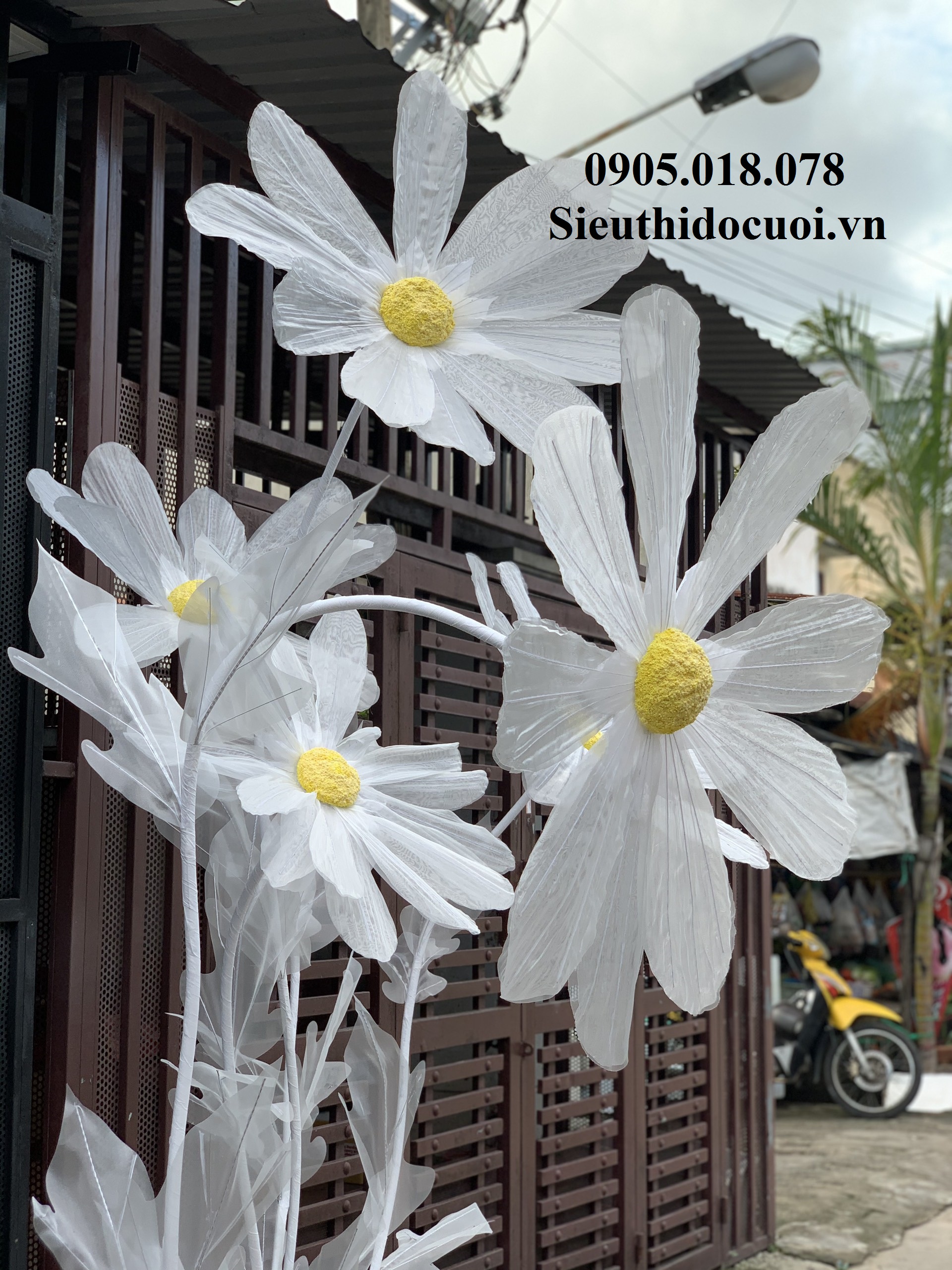 Hoa trang trí sân khấu, lối đi sân khấu Hoa trang trí sân khấu, lối đi sân khấu