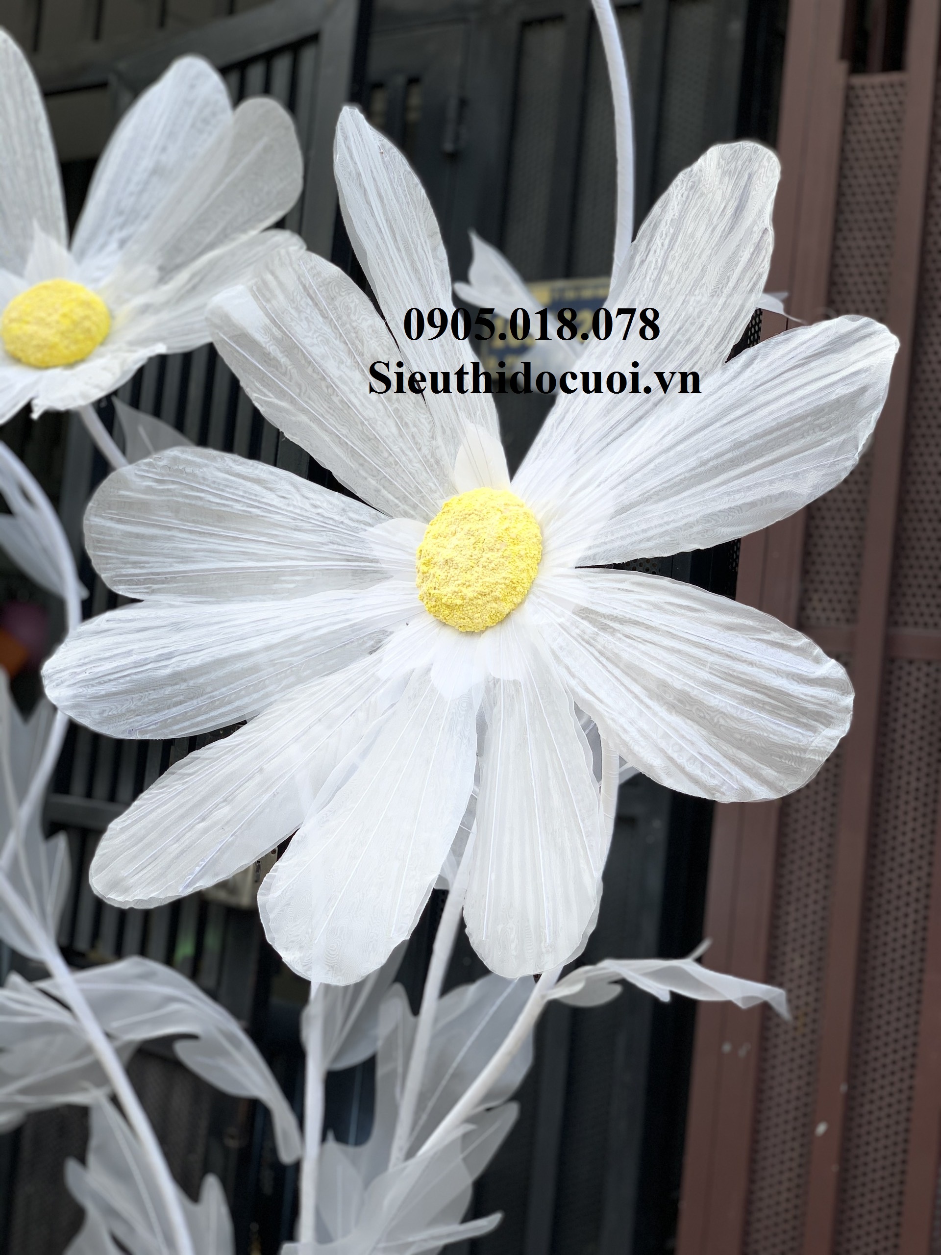 Hoa trang trí sân khấu, lối đi sân khấu Hoa trang trí sân khấu, lối đi sân khấu