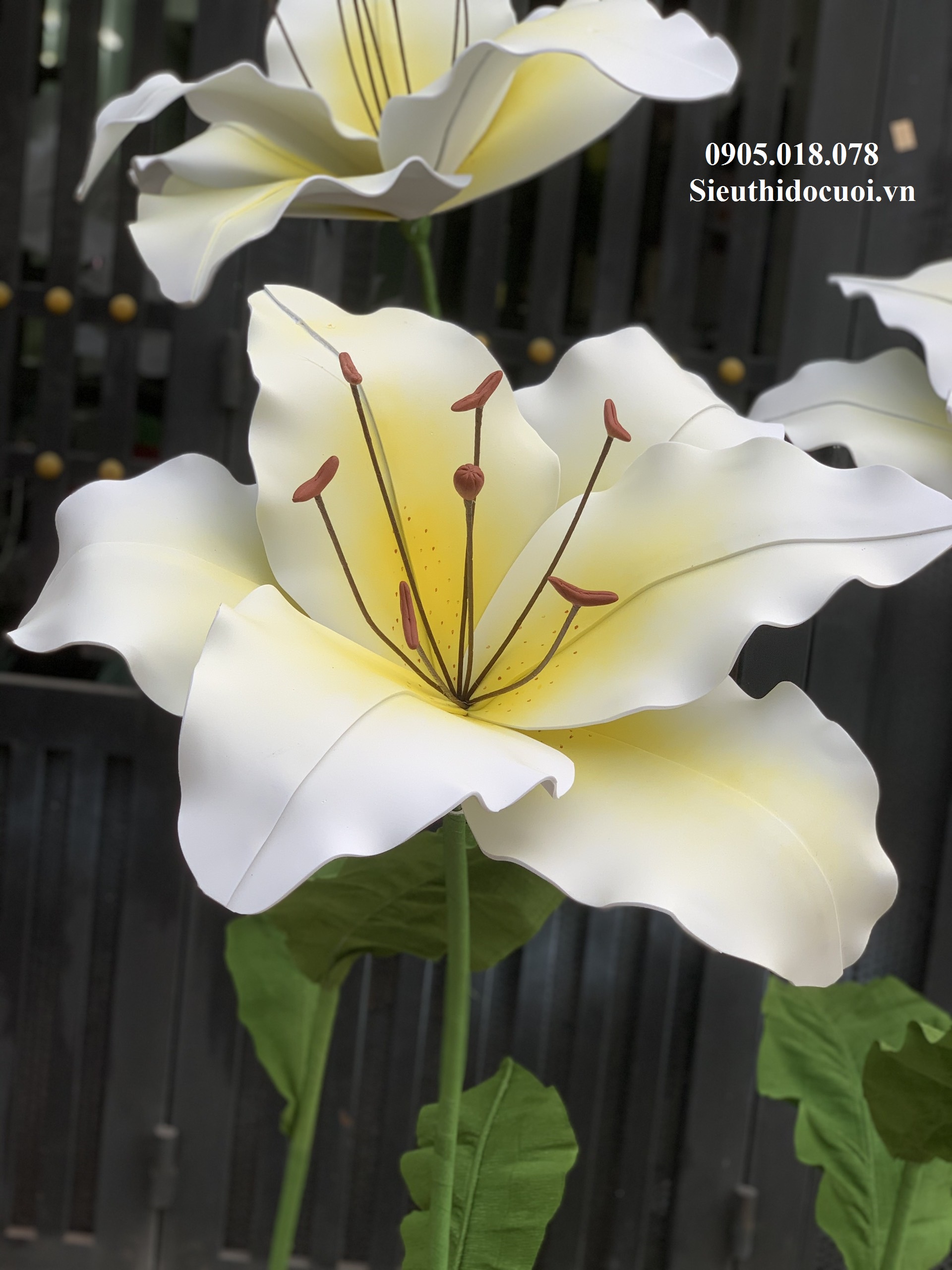 Hoa trang trí sân khấu, lối đi sân khấu Hoa trang trí sân khấu, lối đi sân khấu