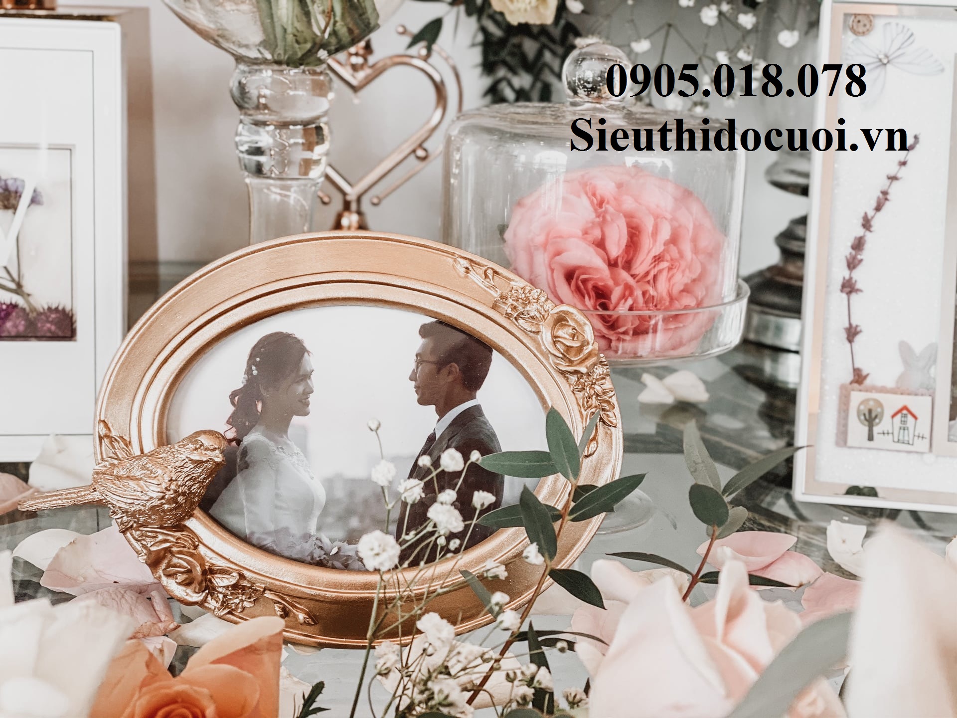 Khung hình, khung ảnh Khung hình, khung ảnh