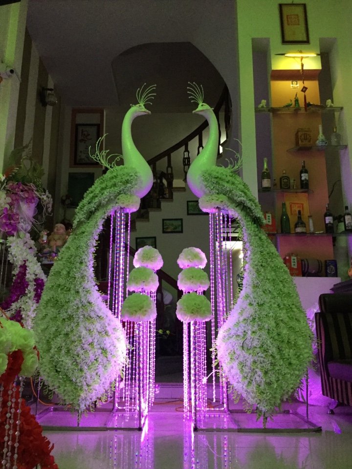 Chim công mô hình mút xốp có đèn led Chim công mô hình mút xốp có đèn led