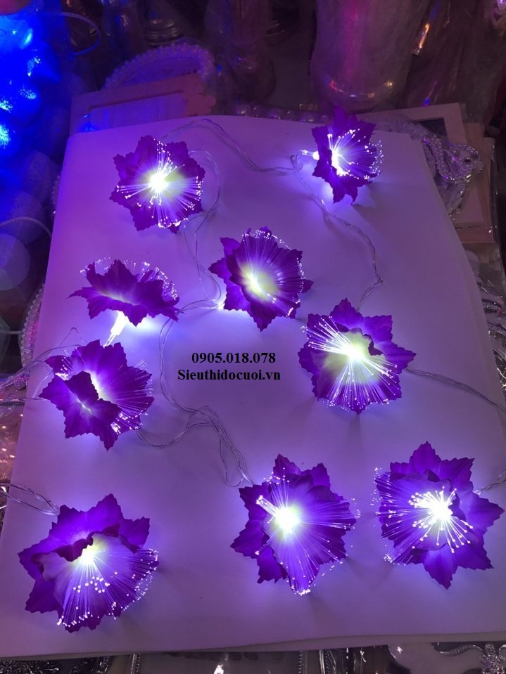 Dây đèn Led trang trí Dây đèn Led trang trí
