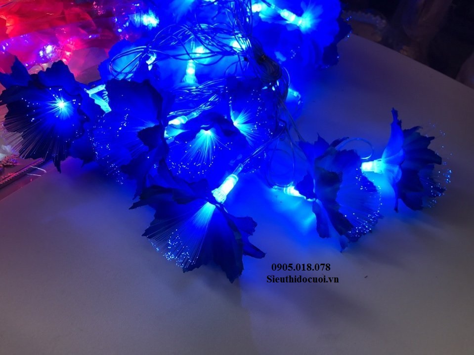 Dây đèn Led trang trí Dây đèn Led trang trí