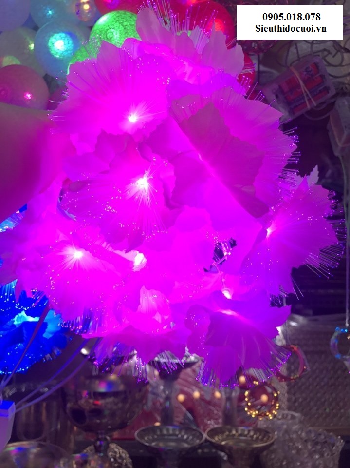 Dây đèn Led trang trí Dây đèn Led trang trí