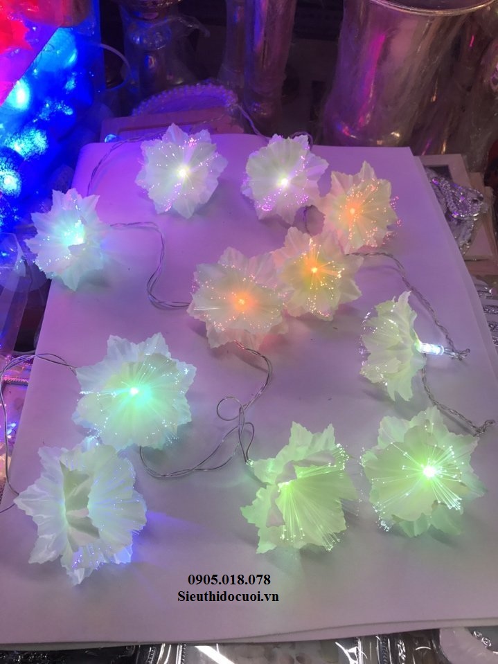 Dây đèn Led trang trí Dây đèn Led trang trí