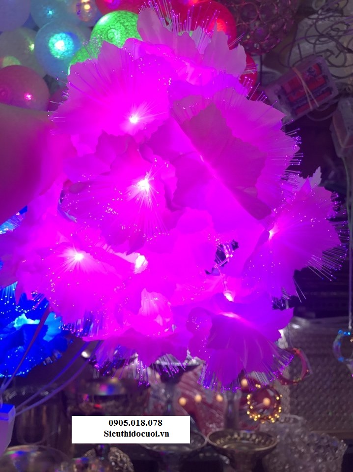 Dây đèn Led trang trí Dây đèn Led trang trí