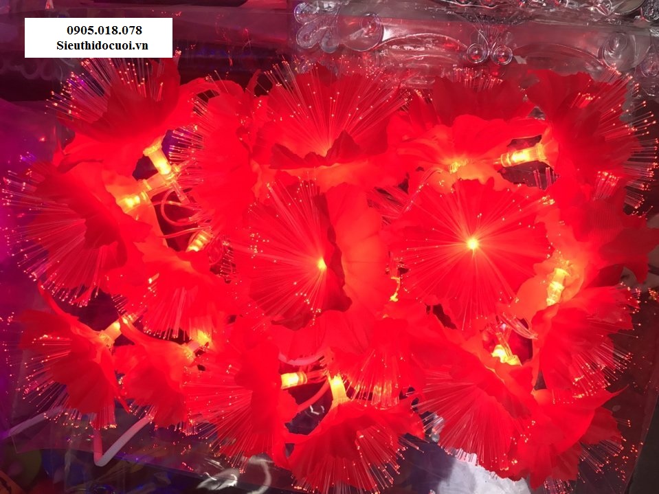 Dây đèn Led trang trí Dây đèn Led trang trí