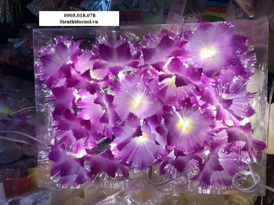 Dây đèn Led trang trí Dây đèn Led trang trí