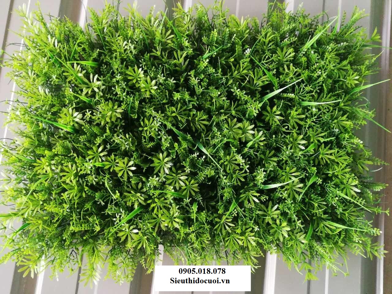 Cỏ nhân tạo, cỏ giả trang trí Cỏ nhân tạo, cỏ giả trang trí