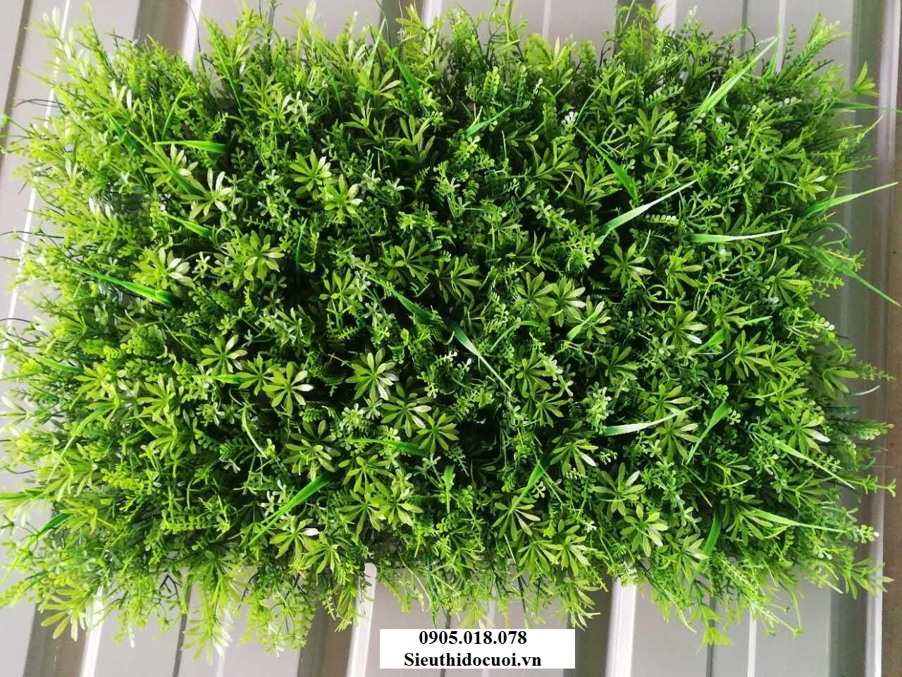 Cỏ nhân tạo, cỏ giả trang trí Cỏ nhân tạo, cỏ giả trang trí