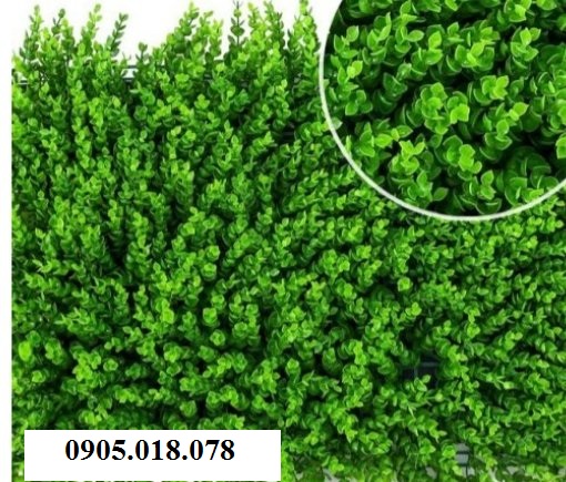 Cỏ nhân tạo, cỏ giả trang trí, cỏ tai chuột Cỏ nhân tạo, cỏ giả trang trí, cỏ tai chuột