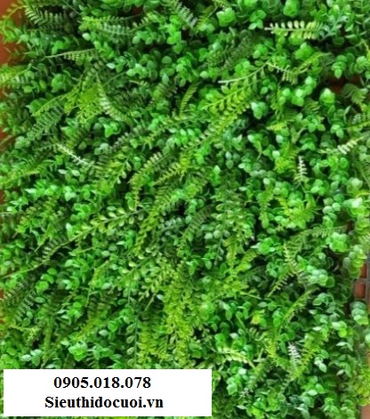 Cỏ nhân tạo, cỏ giả trang trí, cỏ tai chuột Cỏ nhân tạo, cỏ giả trang trí, cỏ tai chuột