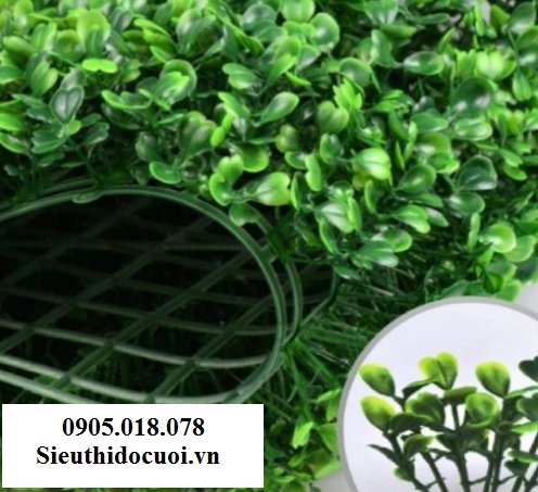 Cỏ nhân tạo, cỏ giả trang trí, cỏ cải xoang Cỏ nhân tạo, cỏ giả trang trí, cỏ cải xoang