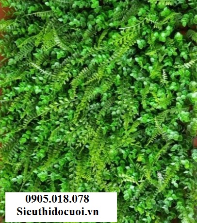 Cỏ nhân tạo, cỏ giả trang trí, cỏ tai chuột Cỏ nhân tạo, cỏ giả trang trí, cỏ tai chuột