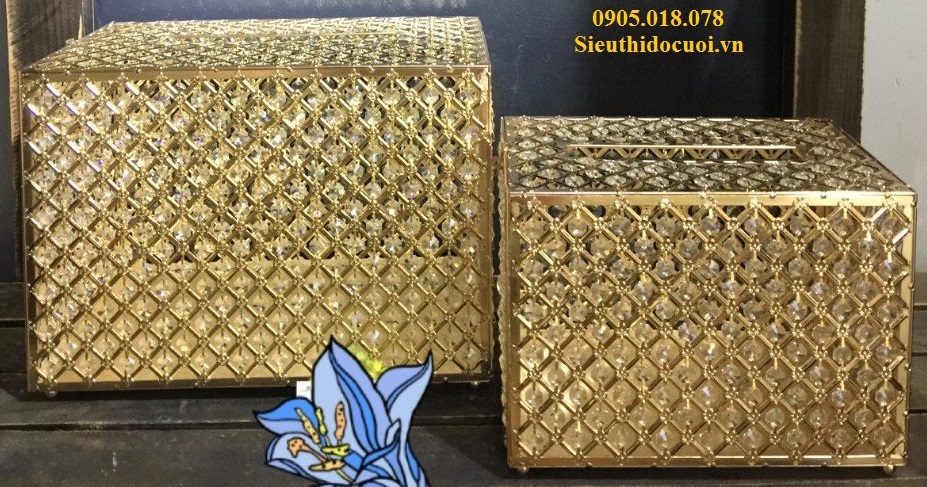 Thùng tiền đám cưới bằng kim loại đính pha lê Thùng tiền đám cưới bằng kim loại đính pha lê