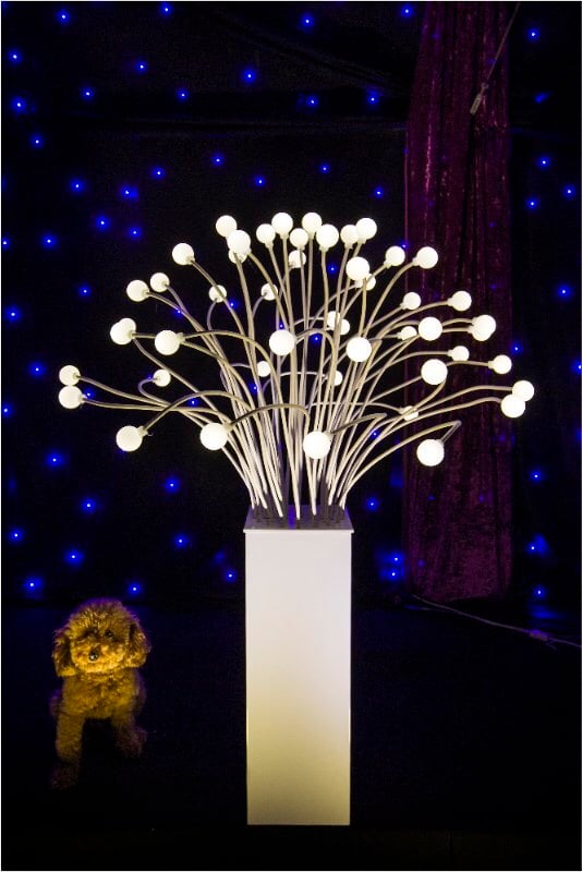 Sóng đèn trang trí Sóng đèn trang trí