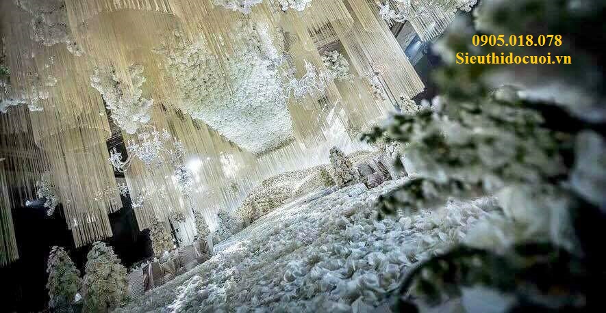 Rèm chỉ, rèm sợi chỉ, màn sợi chỉ Rèm chỉ, rèm sợi chỉ, màn sợi chỉ