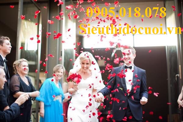 Pháo giấy cánh hoa hồng, cánh hoa hồng giấy Pháo giấy cánh hoa hồng, cánh hoa hồng giấy