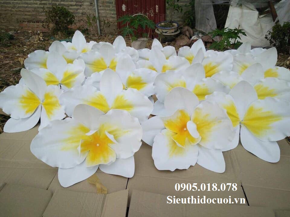 Cổng hoa cưới Cổng hoa cưới